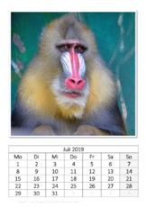 Juli_Mandrill.pdf